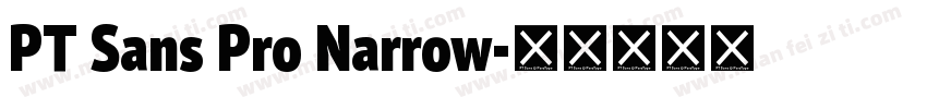 PT Sans Pro Narrow字体转换